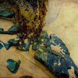  Into the Sand and Sea 