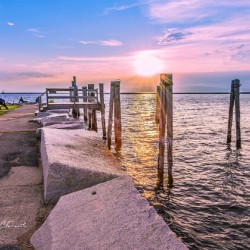 Golden at Perkins Pier