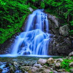 Moss Glenn Granville VT