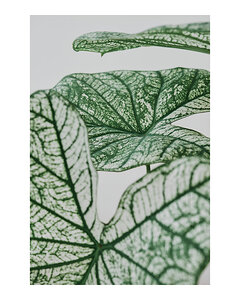 Aesthetic Leaf Texture Art