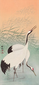 Two cranes 