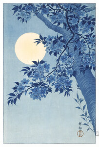 Blossoming Cherry on a Moonlit Night