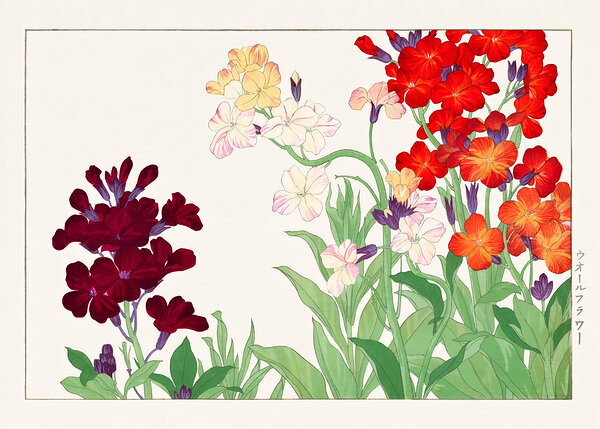 Wallflower Wall Art by Balaram Giri