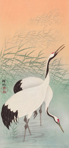 Two cranes  Print