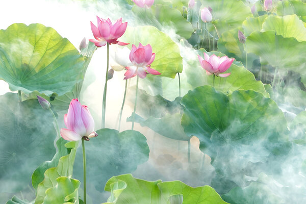 Lotus Summer Print