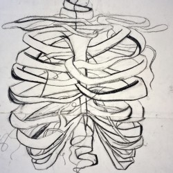Ribbed Cage