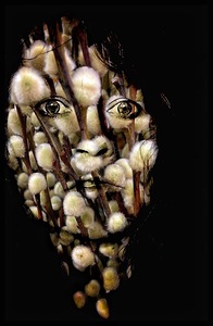 V1317