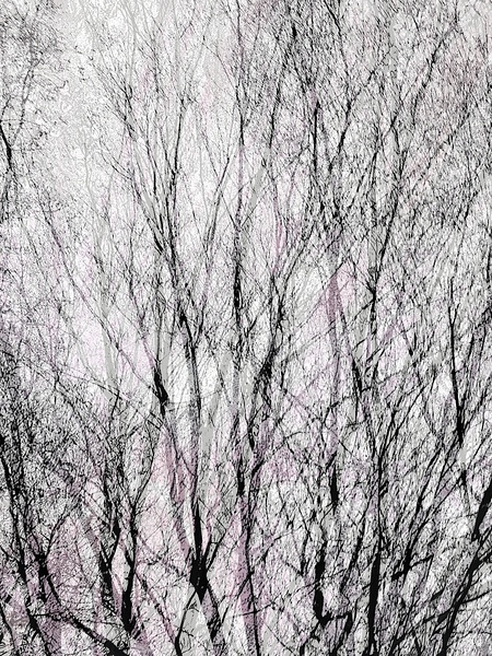 V1319 Print