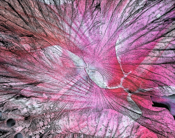 V1329 Print
