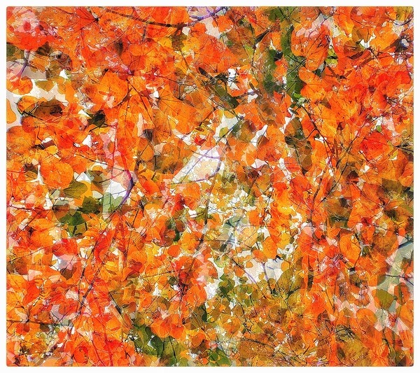 V1387 Print
