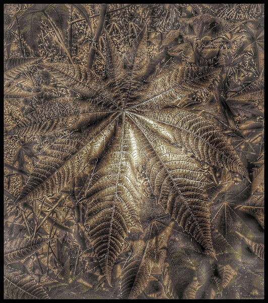 V1475 Print