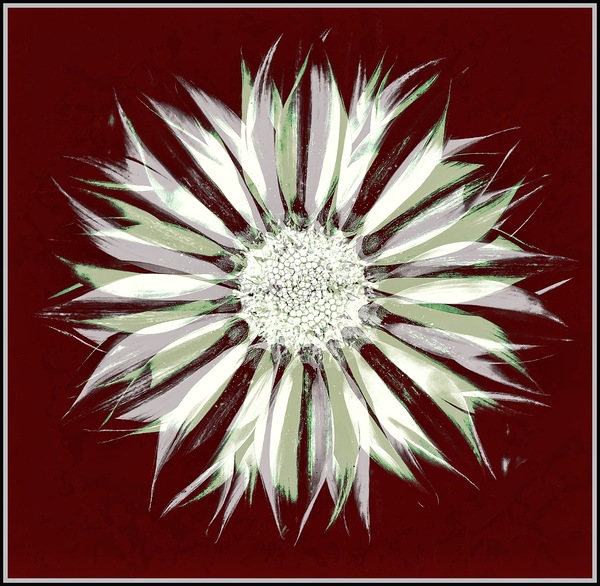 V1518 Print