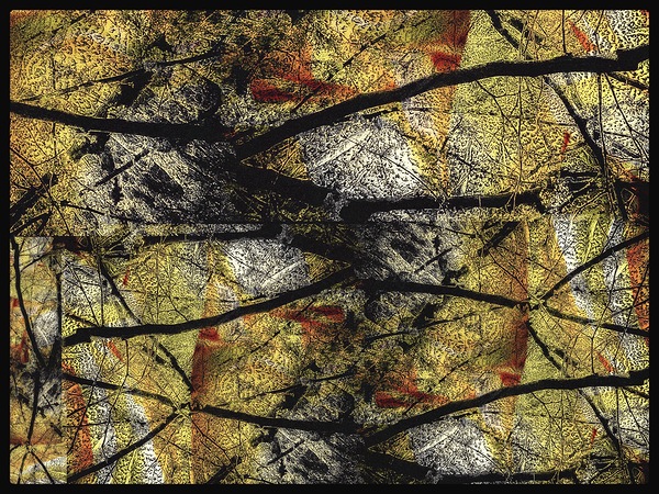 V1503 Print