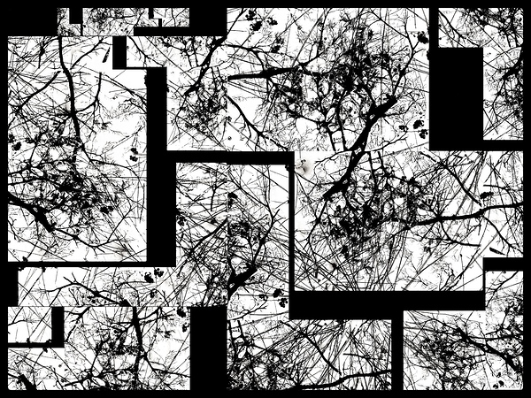 V977 Print