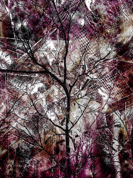 V991 Print