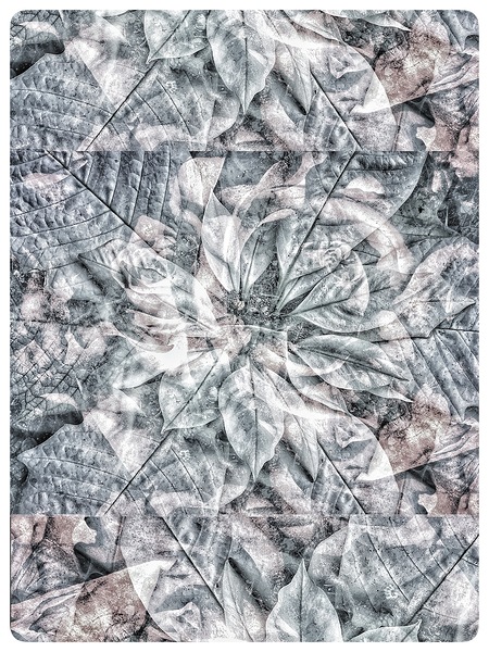 V1019 Print