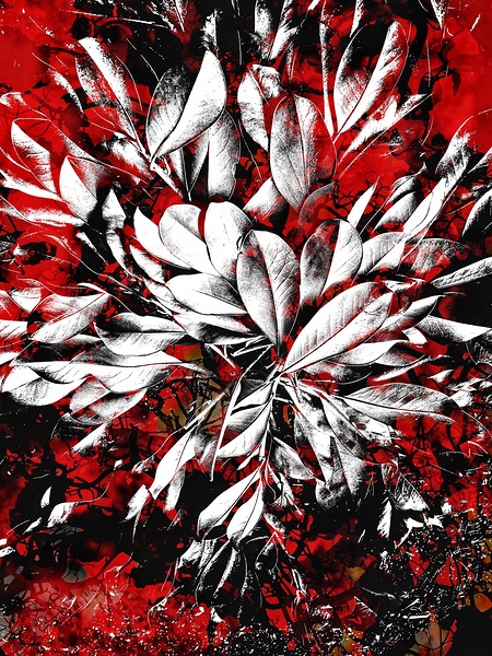 V1017 Print