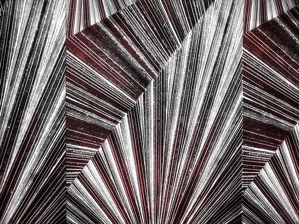 V1018 Print