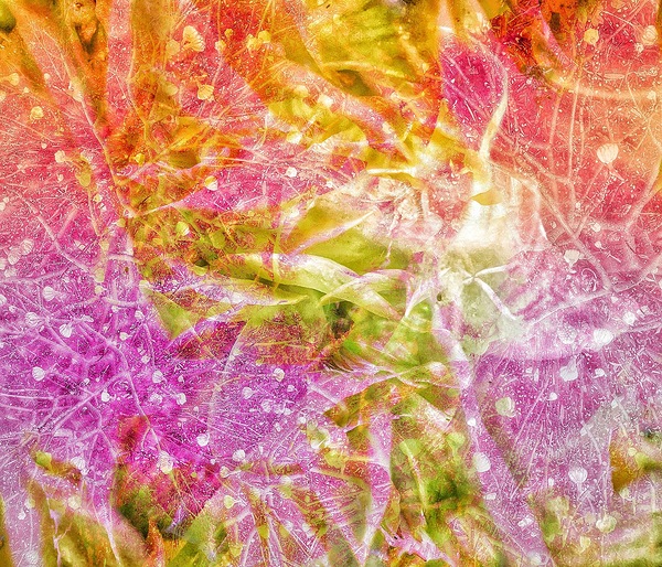 V1029 Print