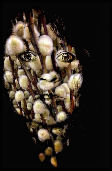 V1317 Print