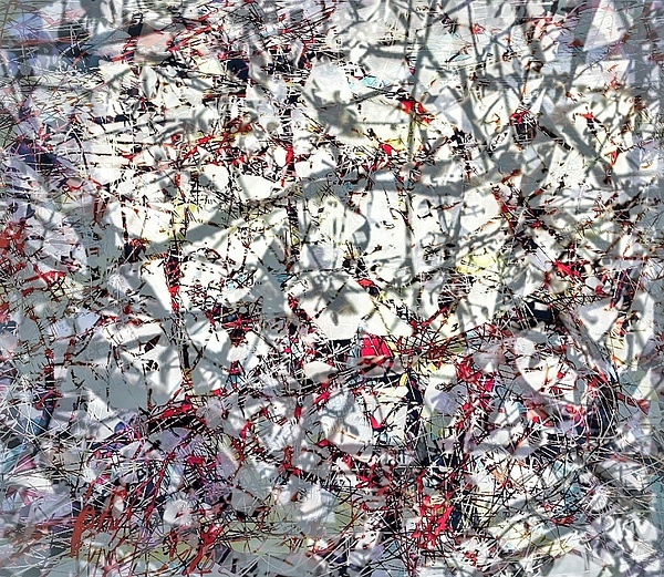 V1046 Print