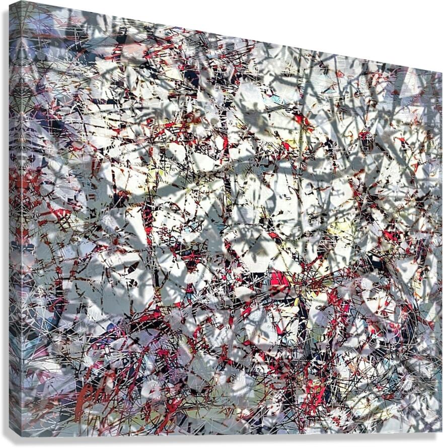 V1046 Canvas Print