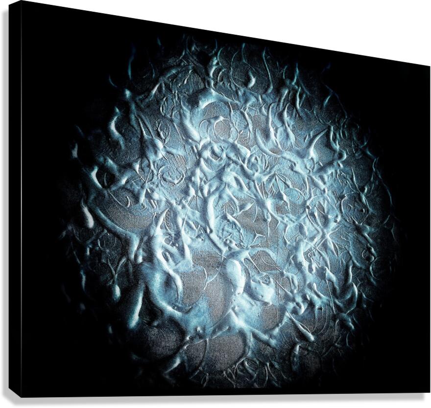 V1048 Canvas Print