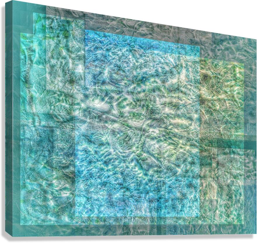 V1049 Canvas Print
