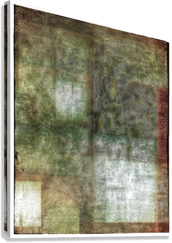 V1052 Canvas Print