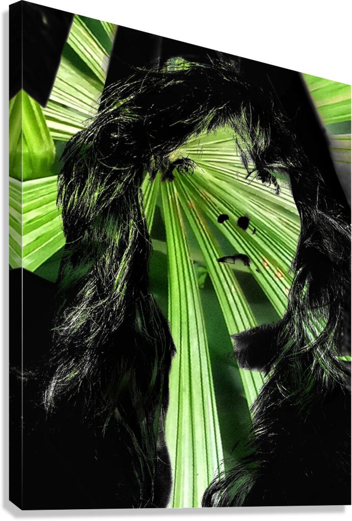 V1056 Canvas Print