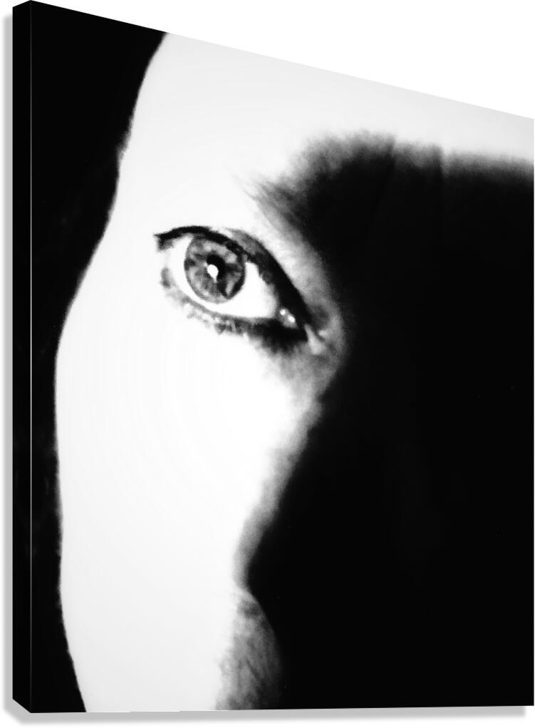 V1059 Canvas Print