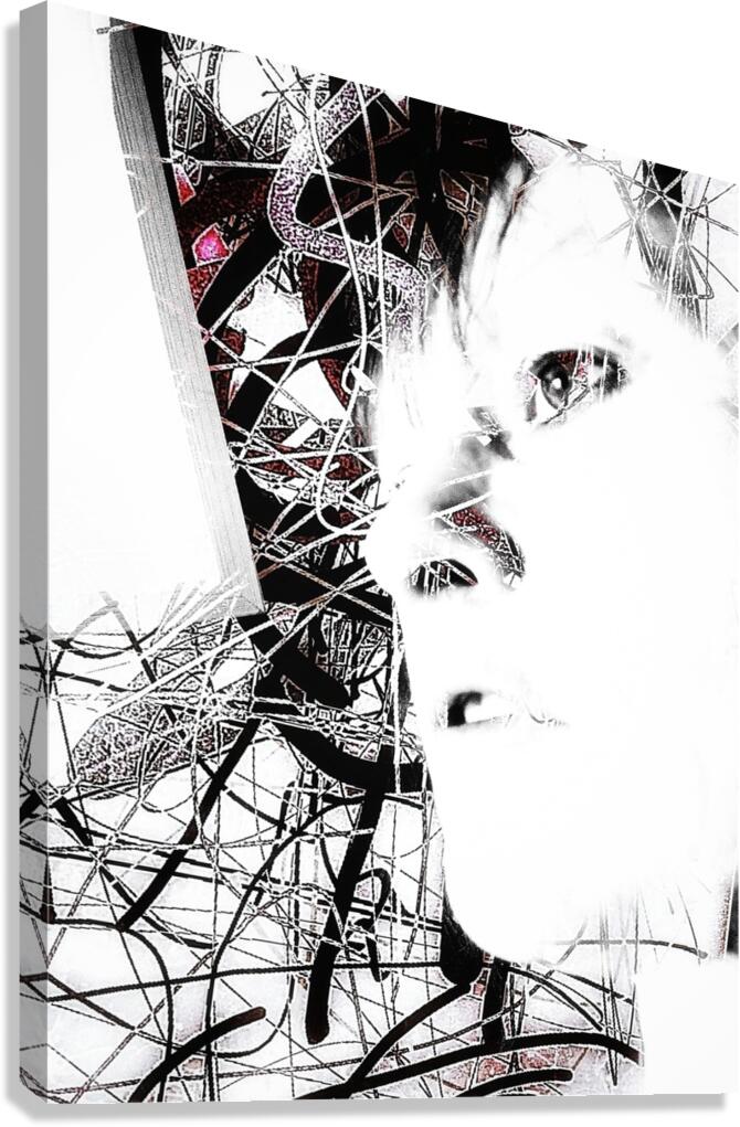 V1060 Canvas Print