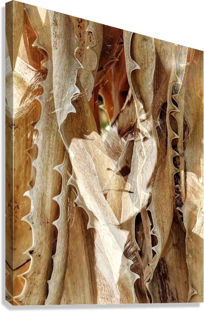 V1063 Canvas Print