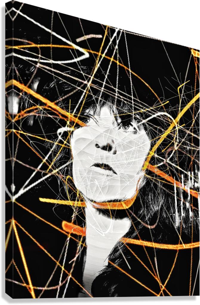 V1066 Canvas Print