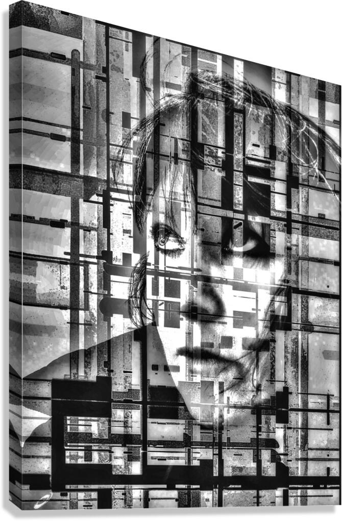 V1067 Canvas Print