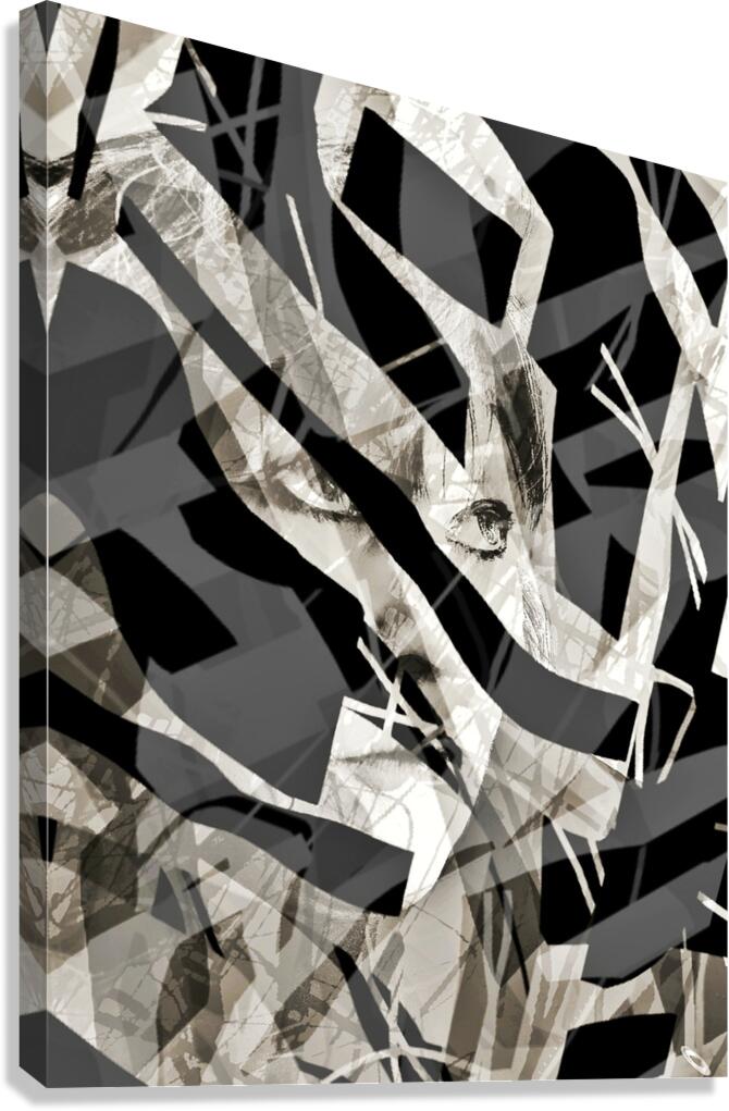 V1068 Canvas Print