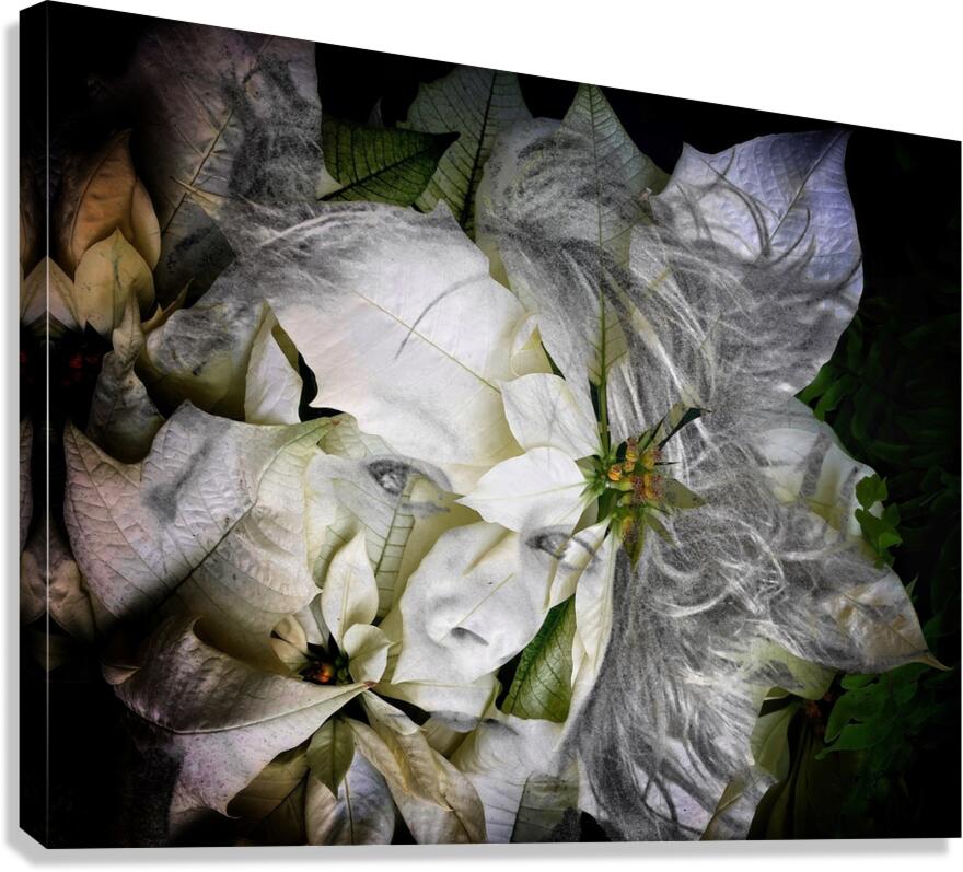 V1071 Canvas Print