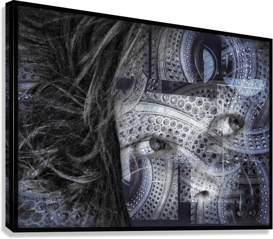 V1072 Canvas Print
