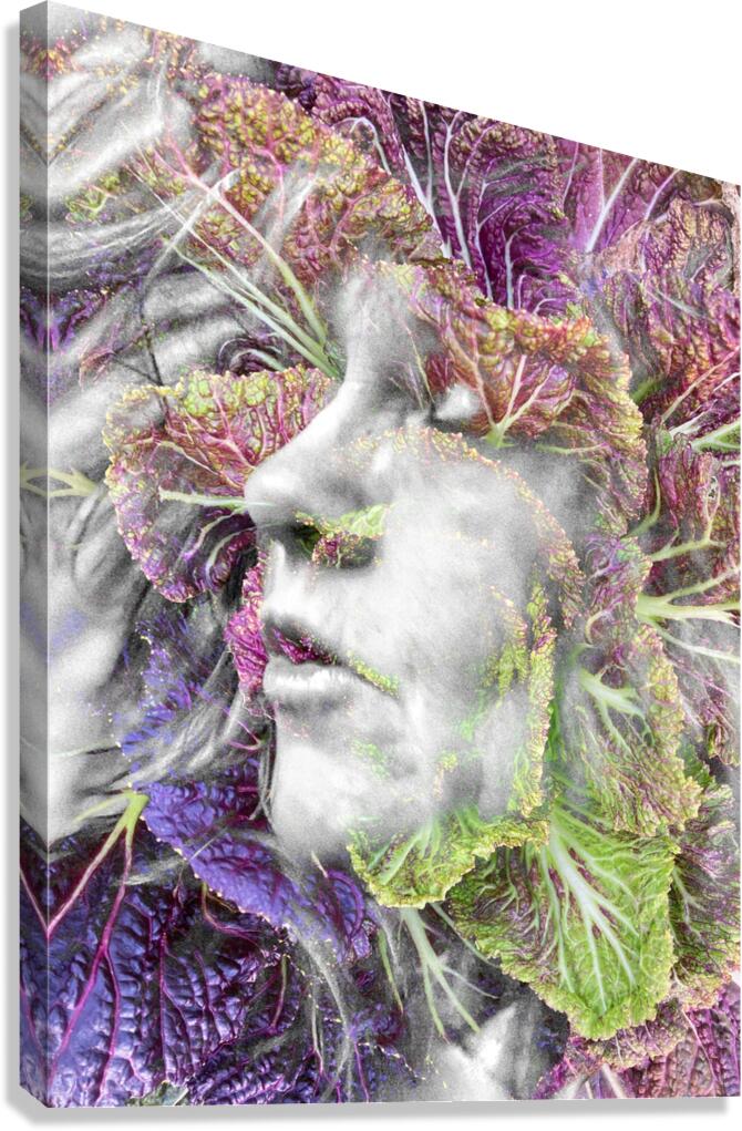 V1076 Canvas Print