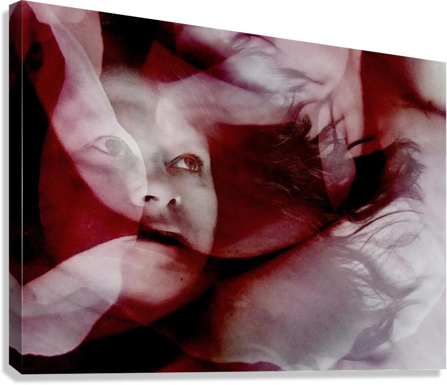 V1077 Canvas Print