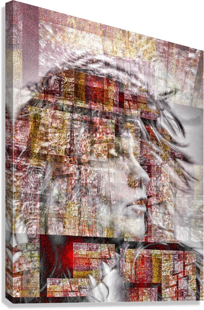 V1079 Canvas Print
