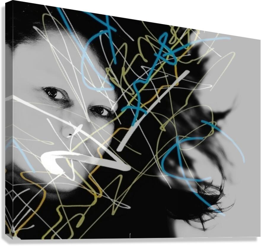 V1081 Canvas Print