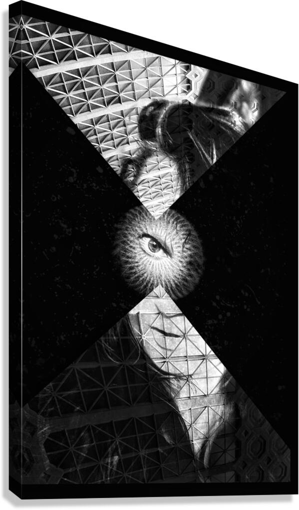 V1082 Canvas Print