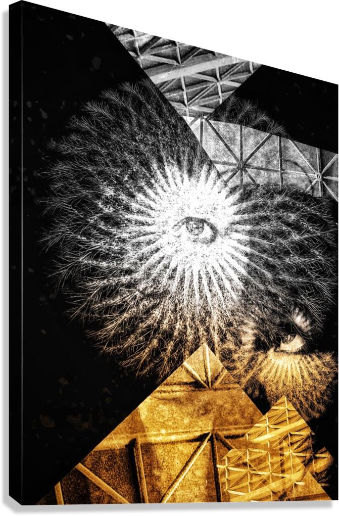 V1083 Canvas Print