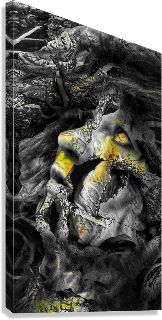 V1084 Canvas Print