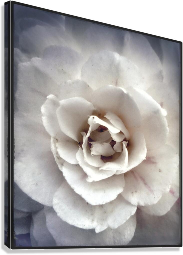 V1087 Canvas Print