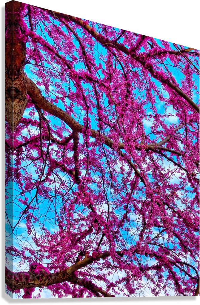 V1090 Canvas Print
