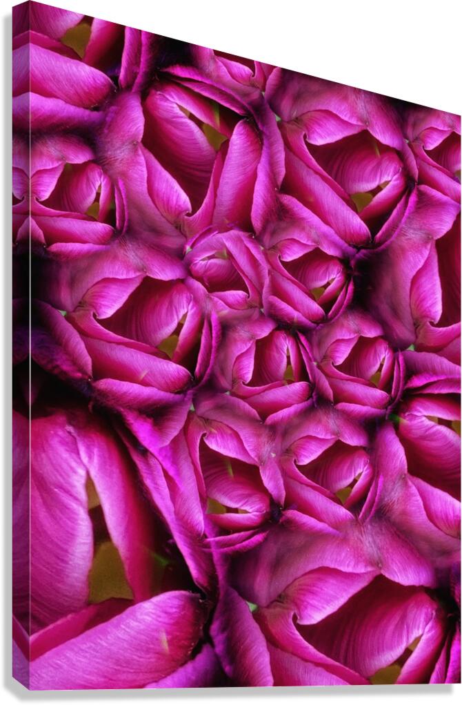 V1099 Canvas Print