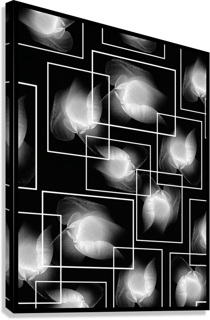 V1100 Canvas Print
