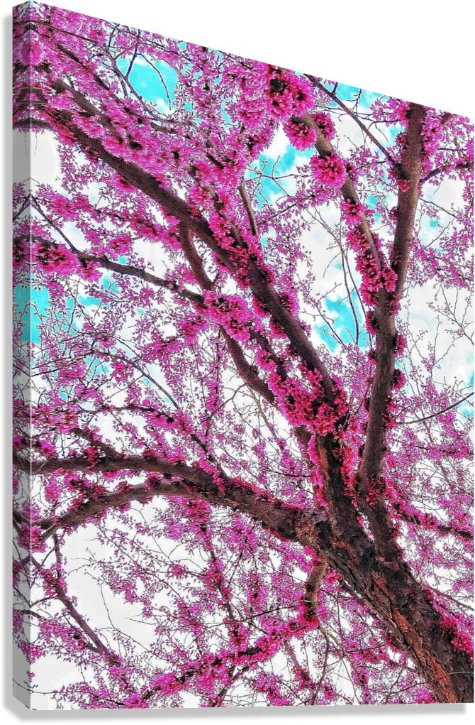 V1106 Canvas Print